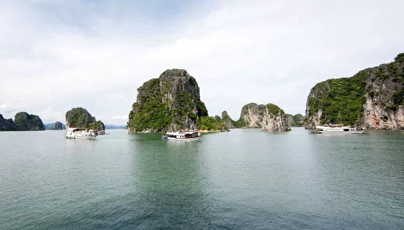 Hòn Cỏ - ‘ốc đảo xanh’ giữa vùng lõi Vịnh Hạ Long Hòn Cỏ - ‘ốc đảo xanh’ giữa vùng lõi Vịnh Hạ Long