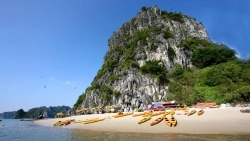 Hòn Cỏ - ‘ốc đảo xanh’ trong lòng di sản Vịnh Hạ Long