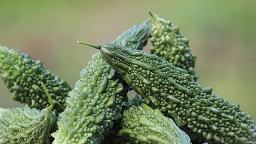 Quả mướp đắng chứa nhiều dinh dưỡng, góp phần sống khoẻ mạnh dài lâu