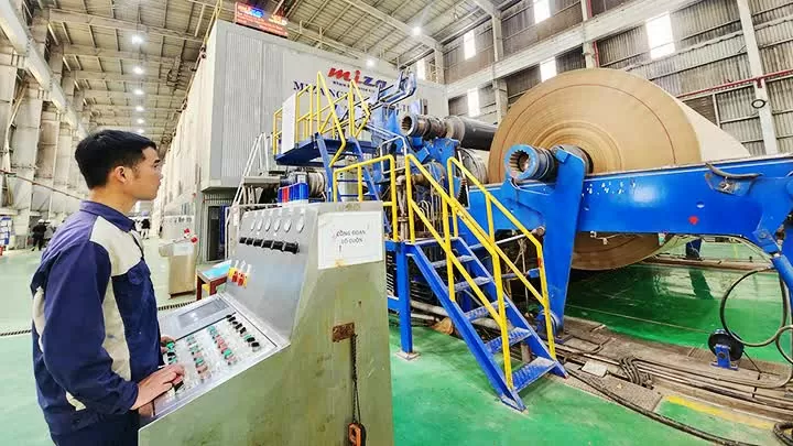 Thị trường xuất khẩu xanh và bền vững là 'mỏ vàng' đầy tiềm năng, doanh nghiệp cần làm gì để khai thác?