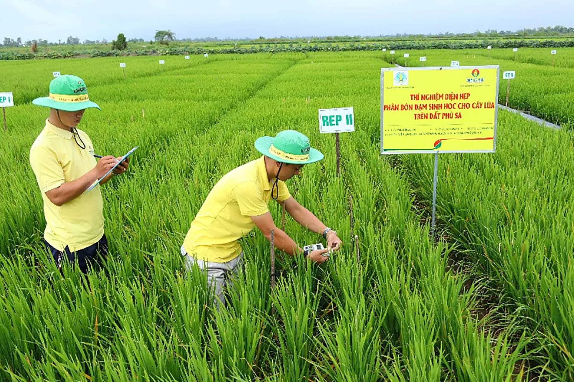 Các nhà máy sản xuất phân bón của Petrovietnam xây dựng và phát triển hệ phân bón chất lượng cao phù hợp với từng loại thổ nhưỡng, cây trồng của Việt Nam