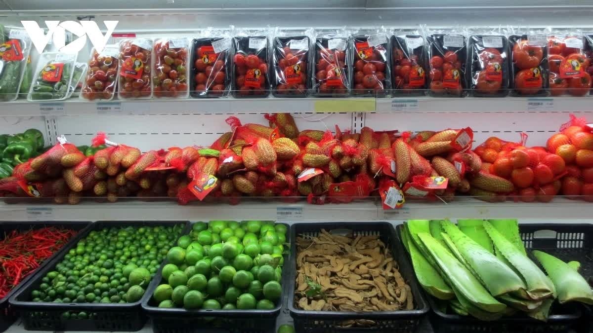 Doanh nghiệp xuất khẩu Việt mở rộng thị trường, hướng đến thị trường Đức