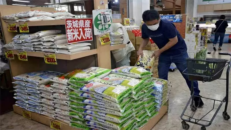 Gạo bày bán tại siêu thị ở Nhật Bản. (Ảnh: Japannews) Gạo bày bán tại siêu thị ở Nhật Bản. (Ảnh: Japannews)