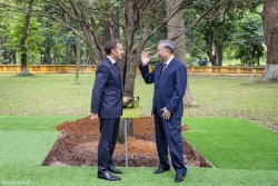 Tổng Bí thư Tô Lâm và Tổng thống Emmanuel Macron trồng cây mộc tại Khu di tích Chủ tịch Hồ Chí Minh
