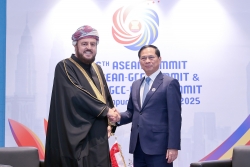 Phó Thủ tướng Bùi Thanh Sơn gặp Phó Thủ tướng Oman
