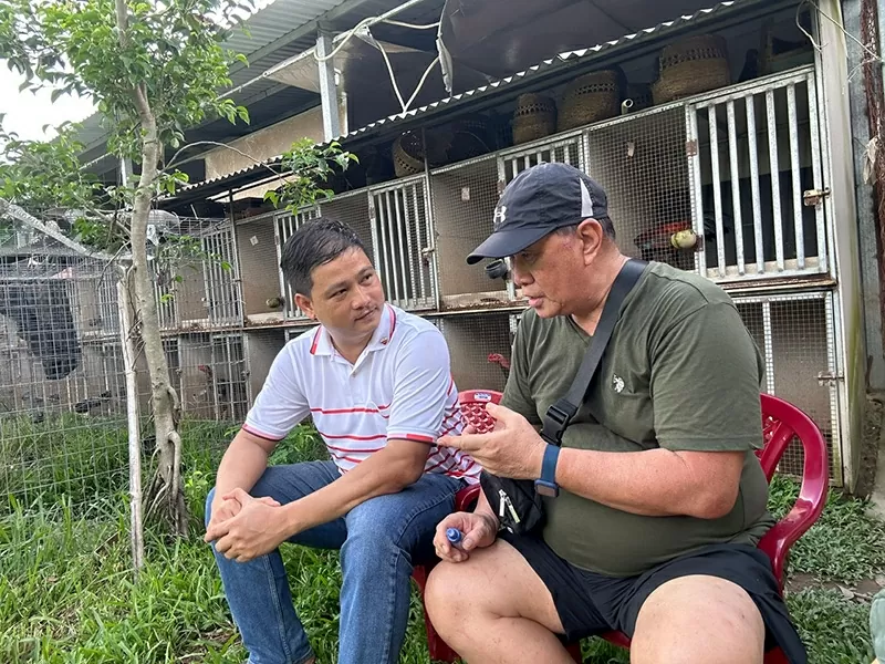 'Giải oan' cho gà nòi Việt: Hành trình 10 năm bền bỉ của doanh nhân Phạm Thanh Việt