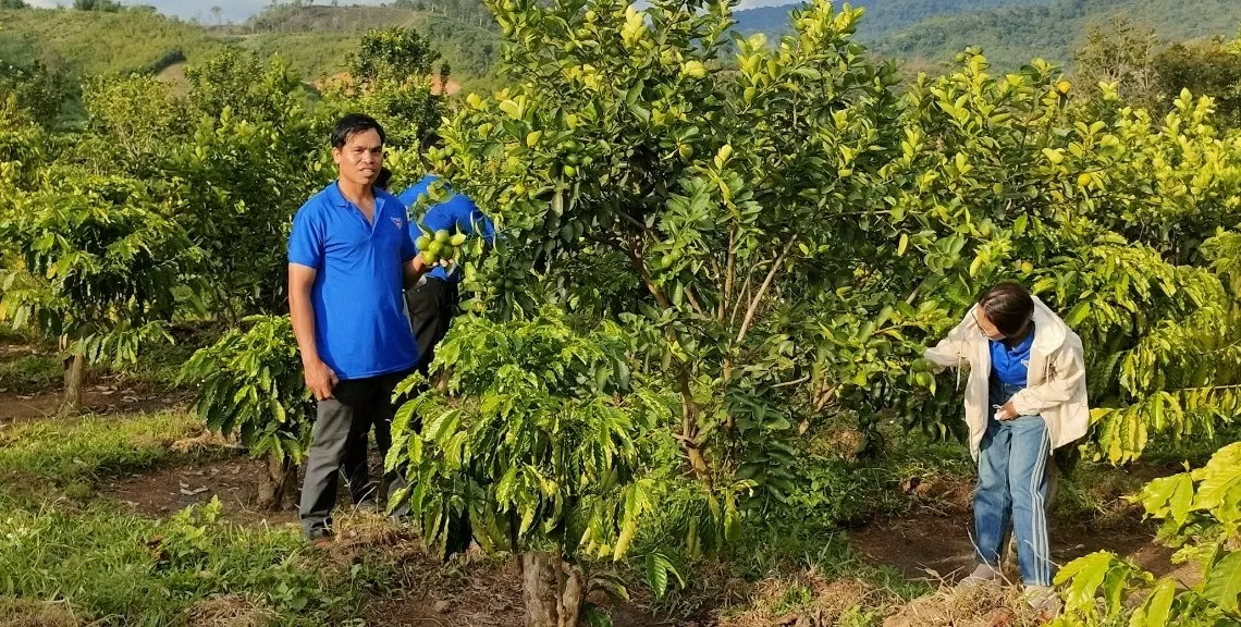 (Nguồn: Huyện ủy Đam Rông)