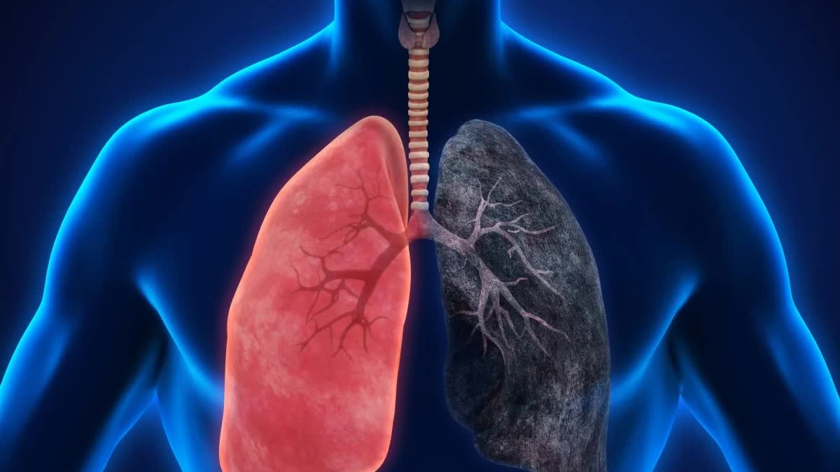 Ngày Thế giới không thuốc lá: Tác hại sâu rộng của khói thuốc không chỉ dừng lại ở phổi và tim