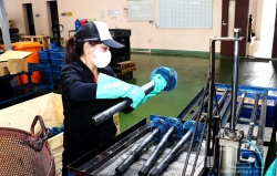 Doanh nghiệp xuất khẩu Thái Nguyên: Nỗ lực vượt lực cản