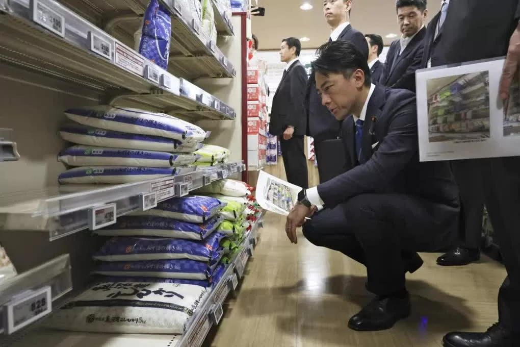 Bộ trưởng Bộ Nông nghiệp, Lâm nghiệp và Thủy sản Shinjiro Koizumi kiểm tra một khu vực bán gạo tại một siêu thị ở thủ đô Tokyo - Nhật Bản hôm 23/5. (Nguồn: Kyodo).