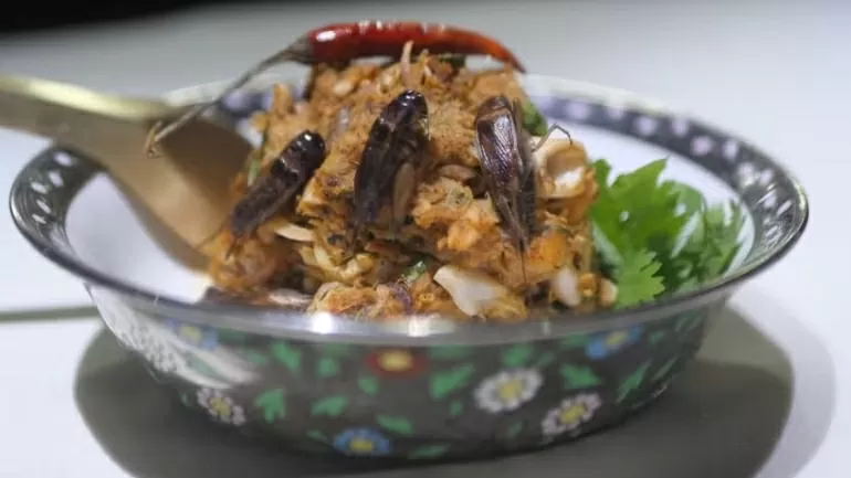 Côn trùng: Từ món ăn chợ quê đến bàn tiệc Michelin ở Thái Lan Côn trùng: Từ món ăn chợ quê đến bàn tiệc Michelin ở Thái Lan