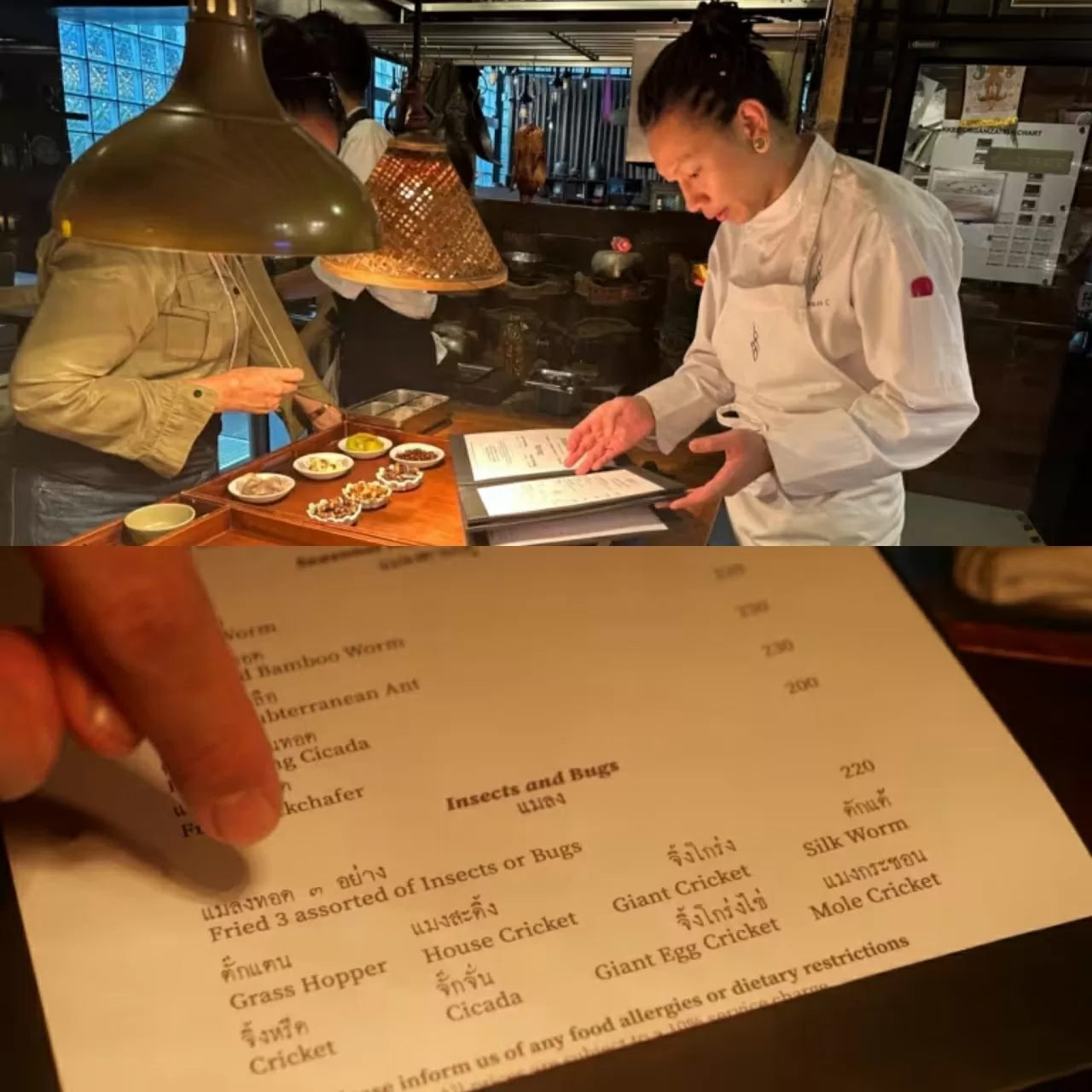 Côn trùng: Từ món ăn chợ quê đến bàn tiệc Michelin ở Thái Lan Côn trùng: Từ món ăn chợ quê đến bàn tiệc Michelin ở Thái Lan