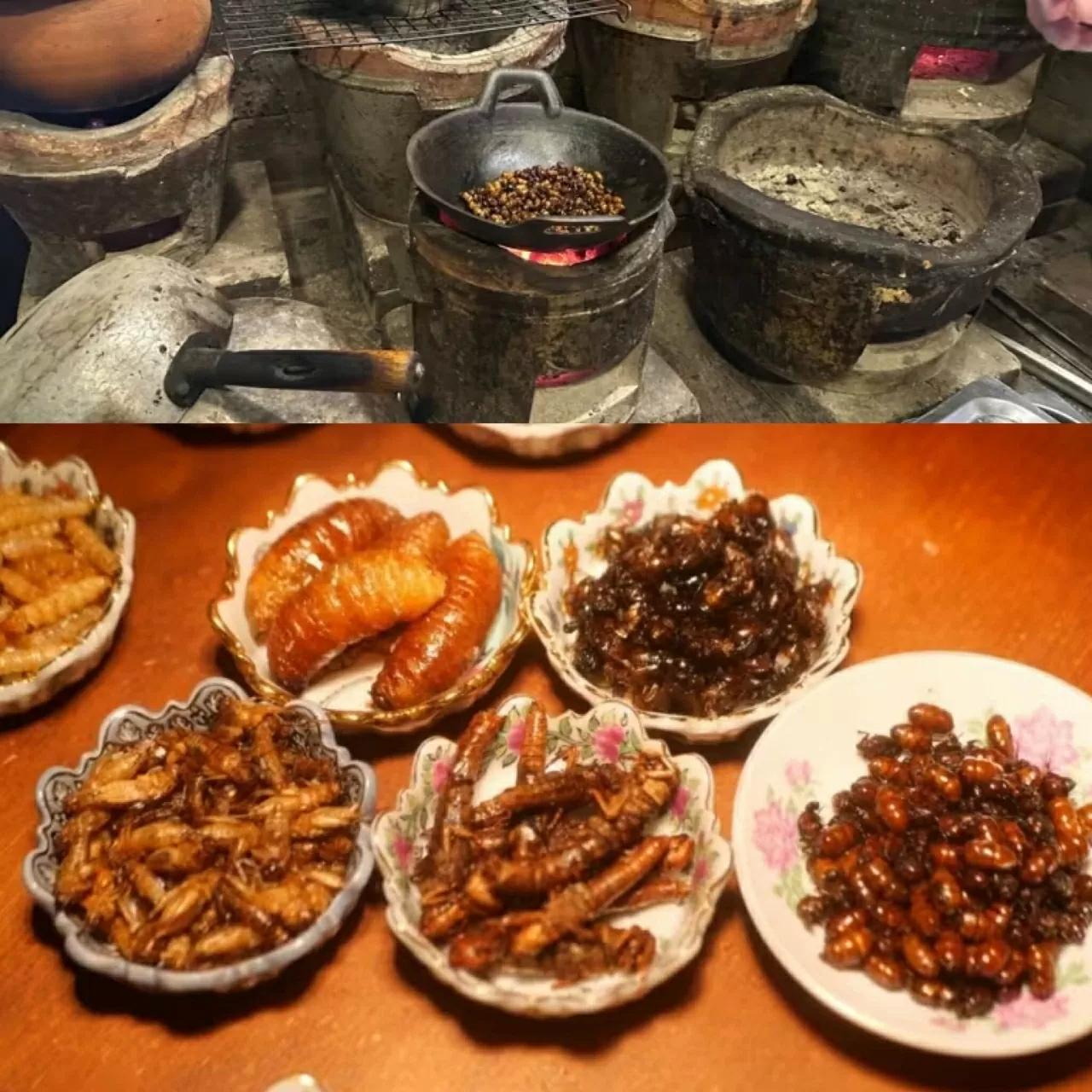 Côn trùng: Từ món ăn chợ quê đến bàn tiệc Michelin ở Thái Lan Côn trùng: Từ món ăn chợ quê đến bàn tiệc Michelin ở Thái Lan