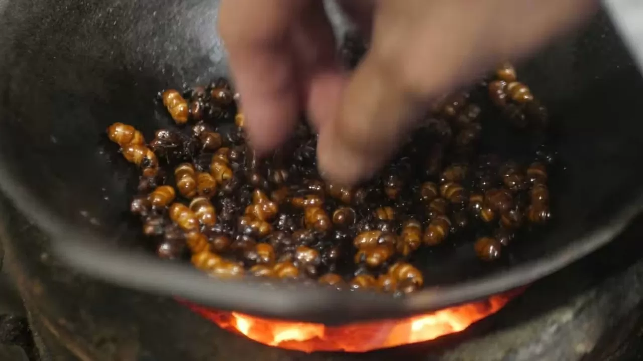 Côn trùng: Từ món ăn chợ quê đến bàn tiệc Michelin ở Thái Lan Côn trùng: Từ món ăn chợ quê đến bàn tiệc Michelin ở Thái Lan