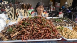 Côn trùng: Từ món ăn chợ quê đến bàn tiệc Michelin ở Thái Lan