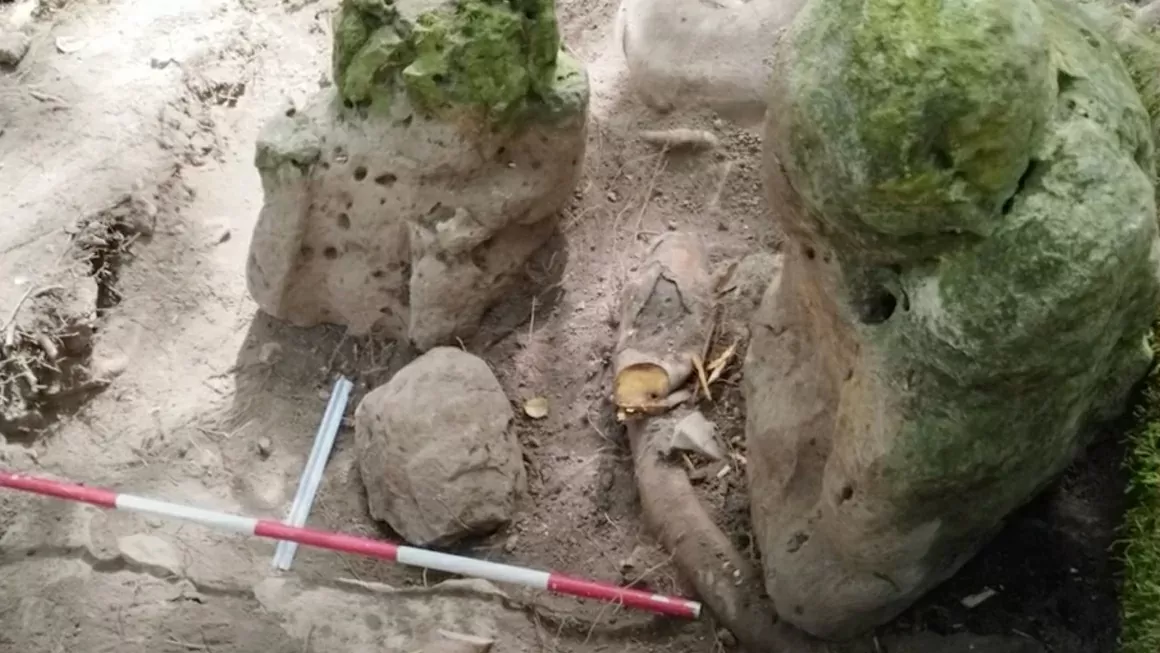 Phát hiện quần thể Maya gần 3.000 năm tuổi tại Guatemala