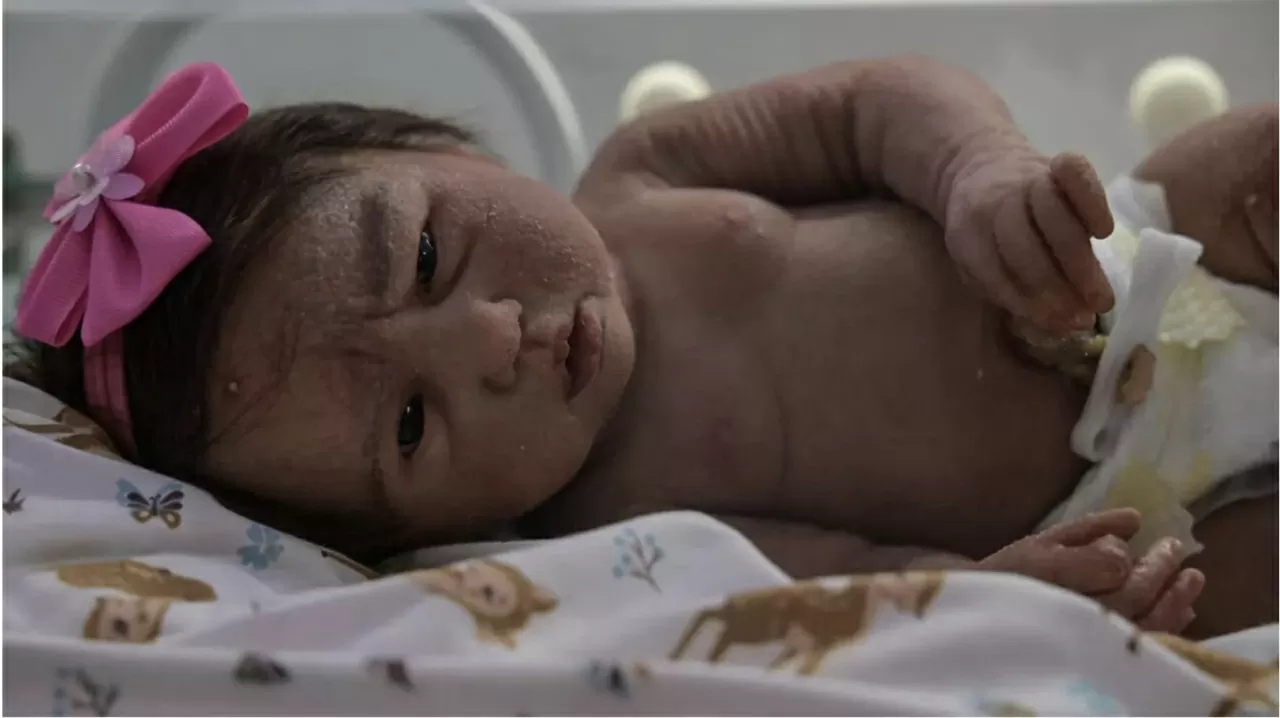 Brazil ‘dậy sóng’ vì búp bê giống người thật