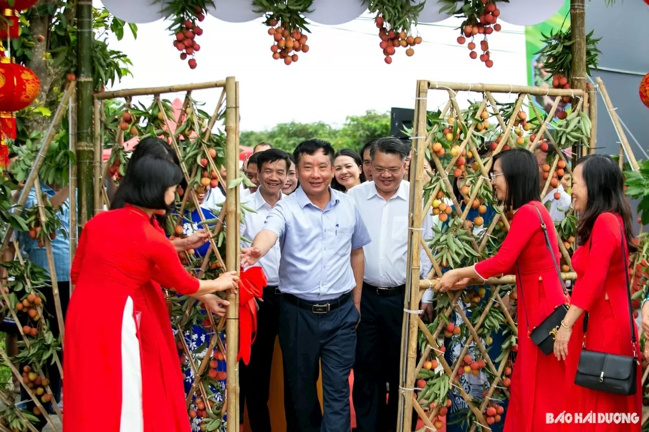 Nâng cao nhận diện thương hiệu vải thiều Thanh Hà, biểu tượng của tinh thần lao động sáng tạo của người dân Hải Dương Nâng cao nhận diện thương hiệu vải thiều Thanh Hà, biểu tượng của tinh thần lao động sáng tạo của người dân Hải Dương