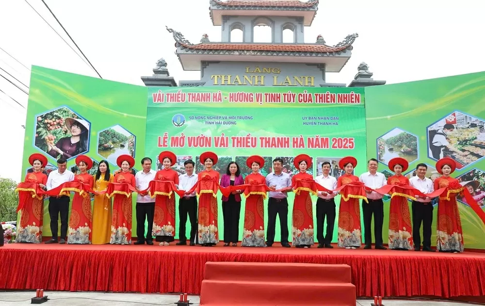 Nâng cao nhận diện thương hiệu vải thiều Thanh Hà, biểu tượng của tinh thần lao động sáng tạo của người dân Hải Dương Nâng cao nhận diện thương hiệu vải thiều Thanh Hà, biểu tượng của tinh thần lao động sáng tạo của người dân Hải Dương
