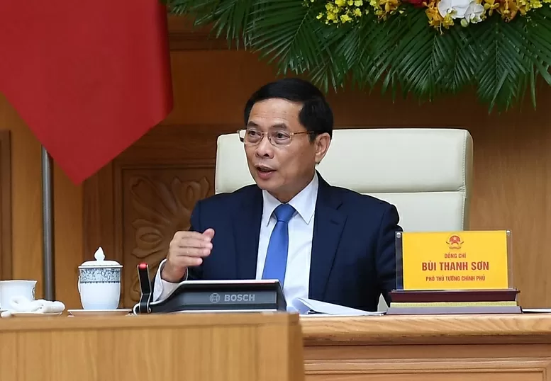 Phó Thủ tướng Bùi Thanh Sơn tiếp đoàn Tổ chức Khoa học và Chuyên gia Việt Nam toàn cầu