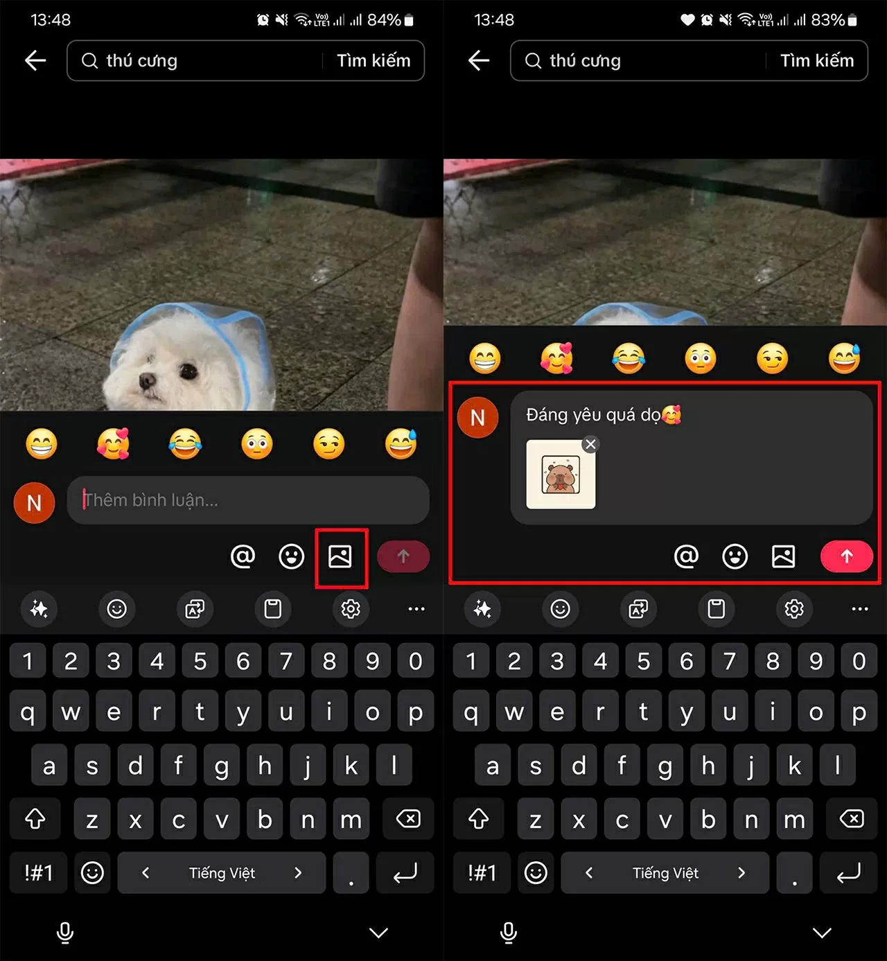 Chọn ảnh bất kỳ để gửi kèm bình luận.