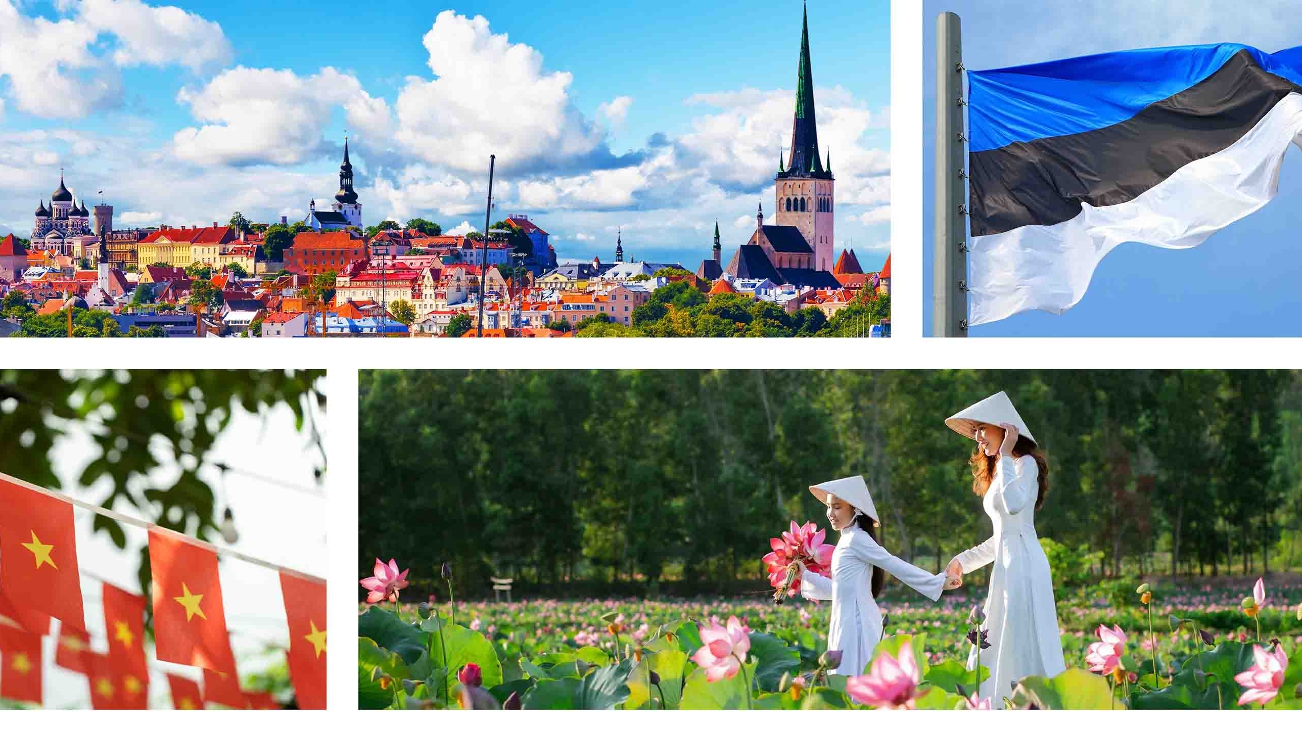 doi net ve quan he viet nam estonia