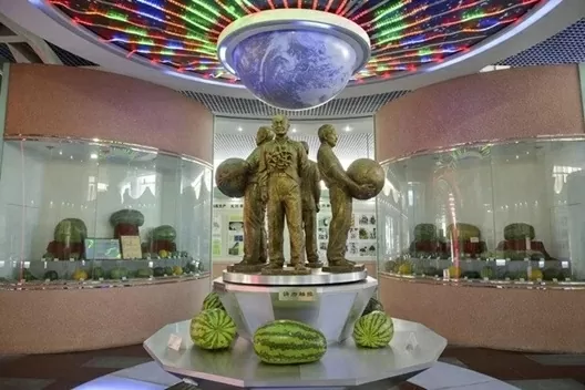 Người nông dân chia sẻ bí quyết trồng quả dưa hấu trọng lượng hơn 97kg Người nông dân chia sẻ bí quyết trồng quả dưa hấu trọng lượng hơn 97kg