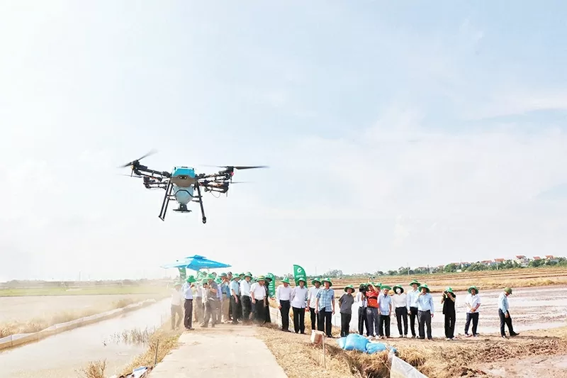 Bắc Ninh thúc đẩy phát triển nông nghiệp, nông thôn theo hướng xanh, bền vững Bắc Ninh thúc đẩy phát triển nông nghiệp, nông thôn theo hướng xanh, bền vững