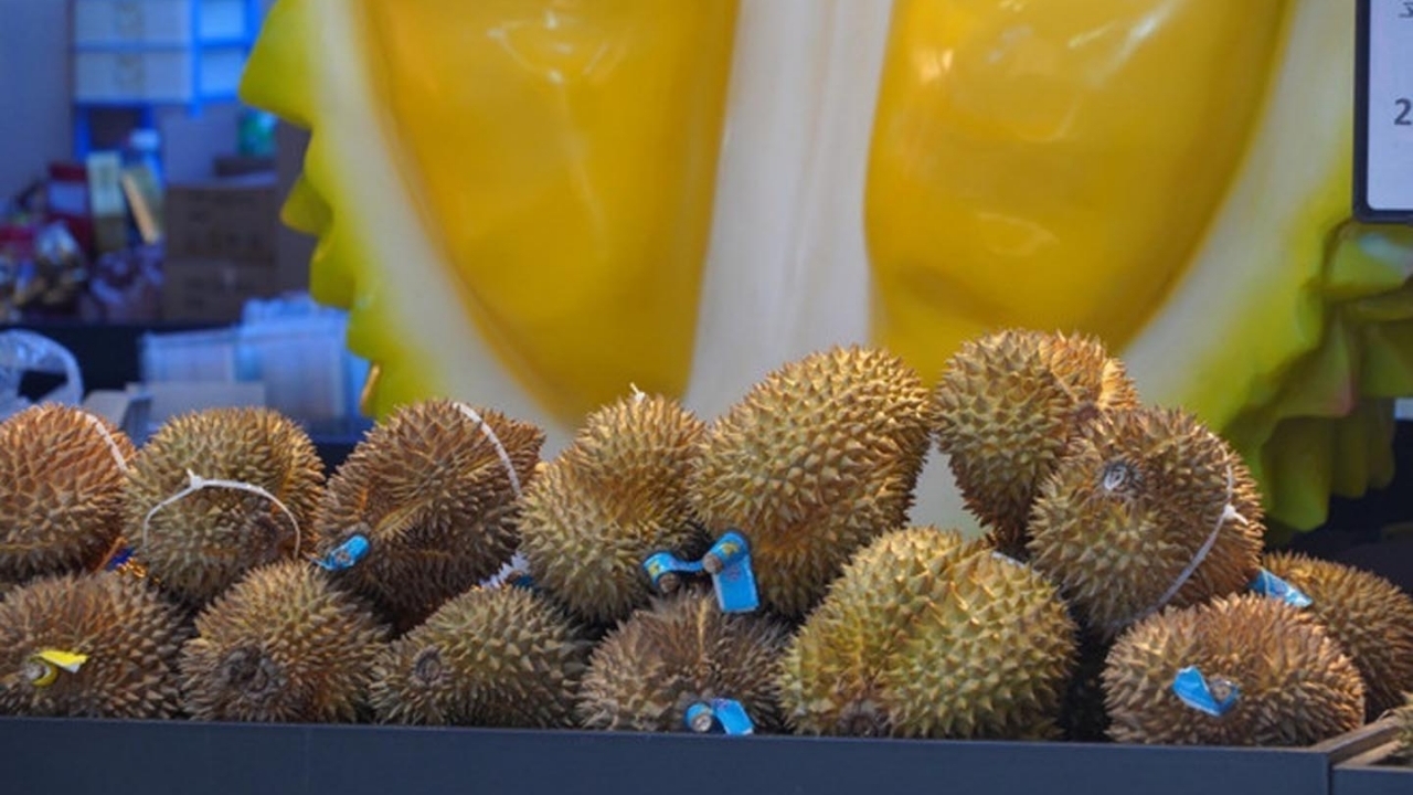 dai su pham thanh binh canh tay noi dai dua nong san viet nam sang thi truong ty dan