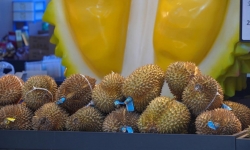 Đại sứ Phạm Thanh Bình: 'Cánh tay nối dài' đưa nông sản Việt Nam sang thị trường tỷ dân