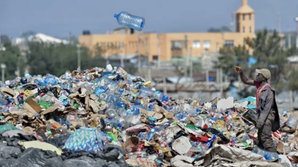 Ngày Môi trường thế giới 2025: Chung tay chống ô nhiễm nhựa