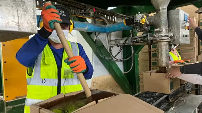 Startup Australia phụ trách vận hành và sản xuất quốc tế của AgCoTech giúp nông dân Lào cắt giảm khí nhà kính trong chăn nuôi bò