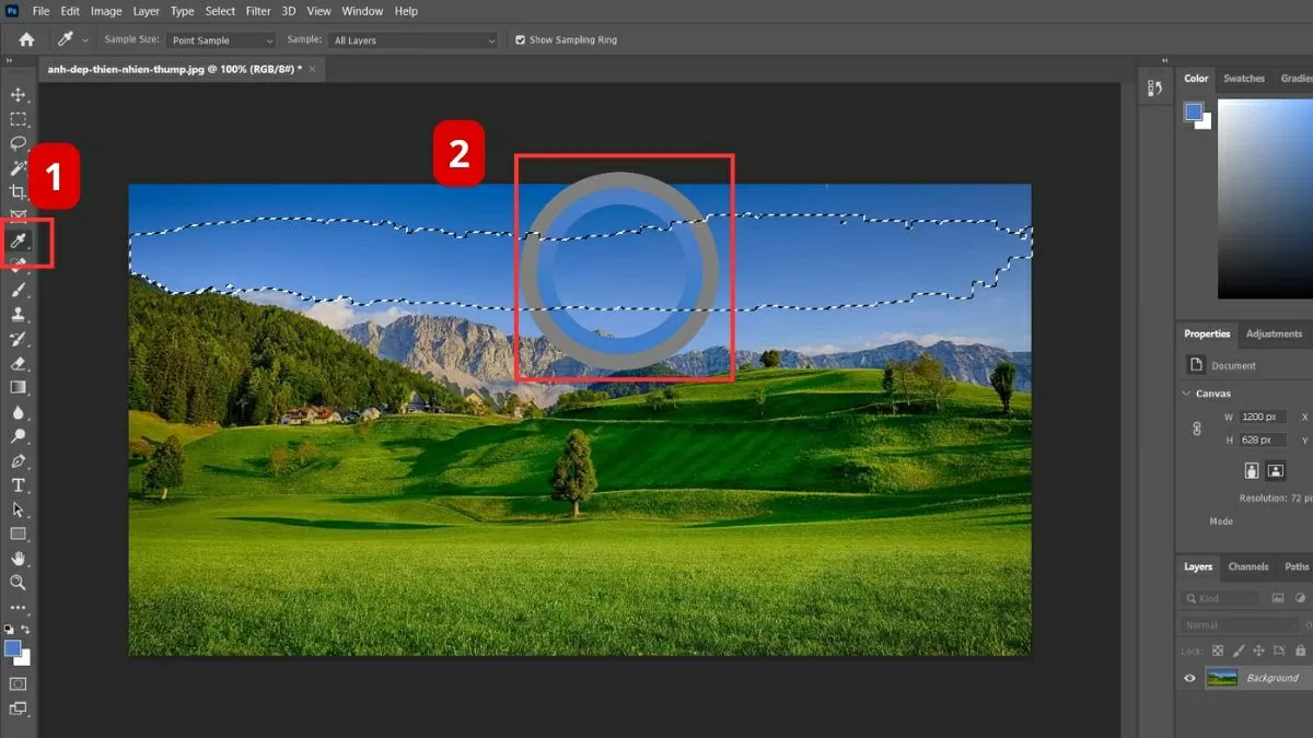 Chuyển sang Eyedropper Tool (phím tắt “I”).