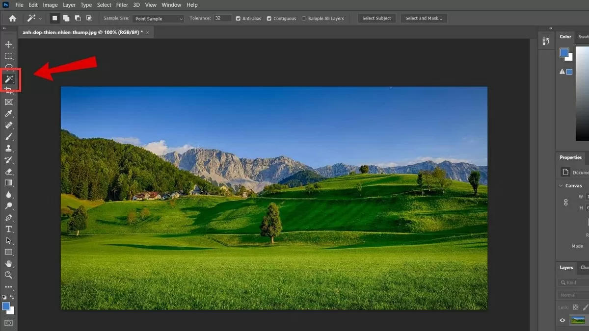 Chọn Magic Wand Tool trên thanh công cụ.