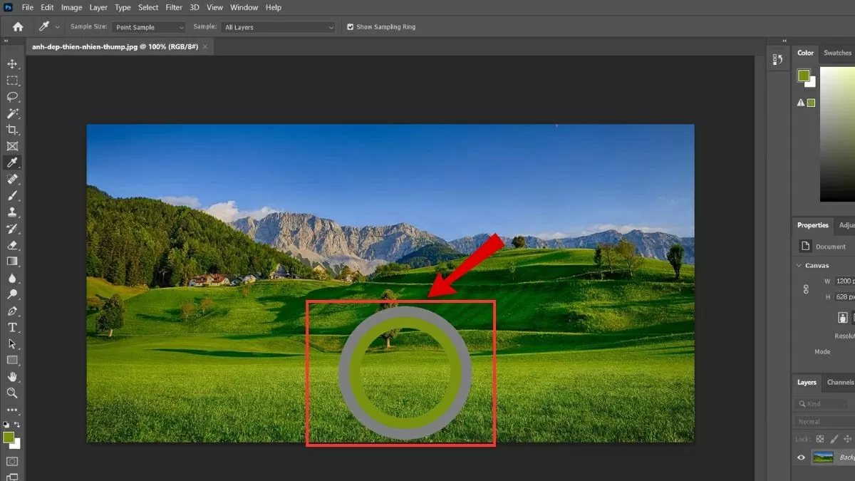 Di chuột đến vùng màu cần lấy và nhấp một lần.