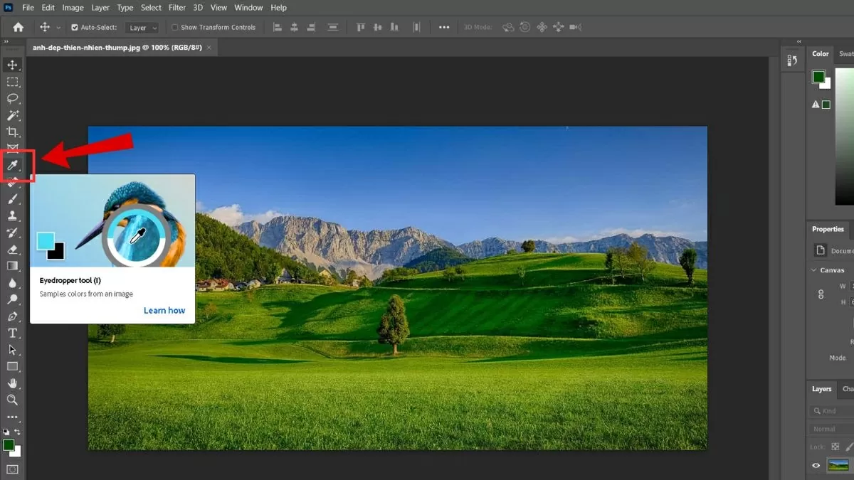 Chọn Eyedropper Tool hoặc nhấn phím tắt Cách lấy mã màu trong Photoshop nhanh chóng và đơn giản nhất