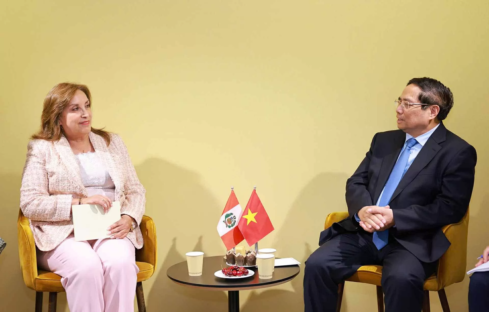 Việt Nam luôn là đối tác quan trọng hàng đầu của Peru ở khu vực Đông Nam Á