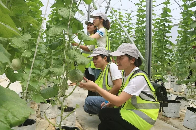 Trải nghiệm thực tế trang trại nông nghiệp công nghệ cao Delco Farm (huyện Thuận Thành, Bắc Ninh).