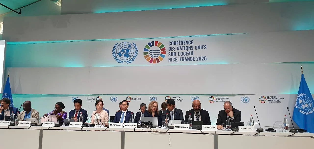 Phó Thủ tướng Bùi Thanh Sơn