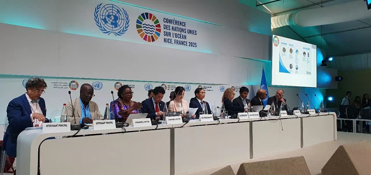 Phó Thủ tướng Bùi Thanh Sơn