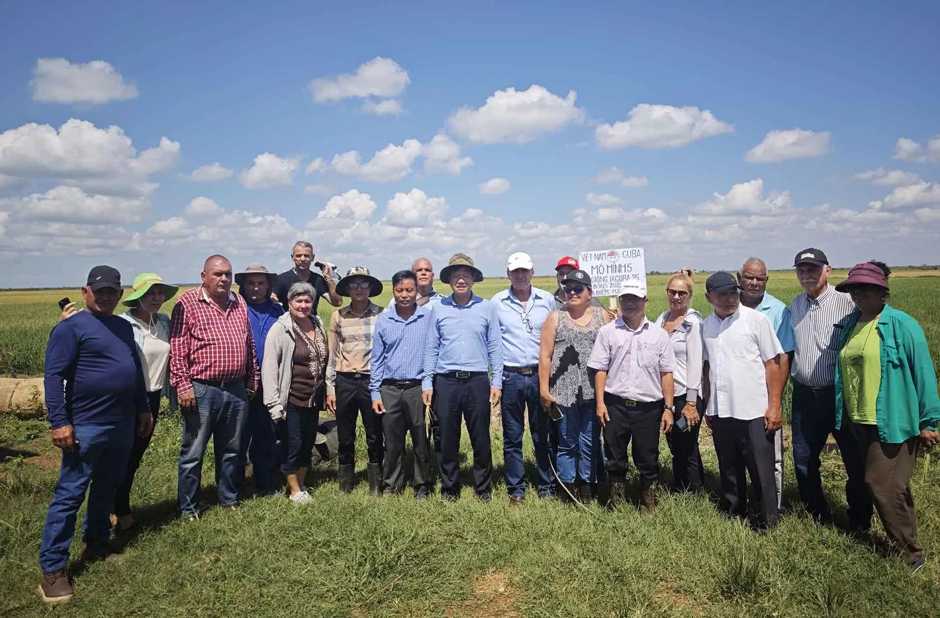 Việt Nam-Cuba phát triển sản xuất lúa gạo: Bốn giống đạt tiêu chuẩn và được đặt tên là ViBa Việt Nam-Cuba phát triển sản xuất lúa gạo: Bốn giống đạt tiêu chuẩn và được đặt tên là ViBa