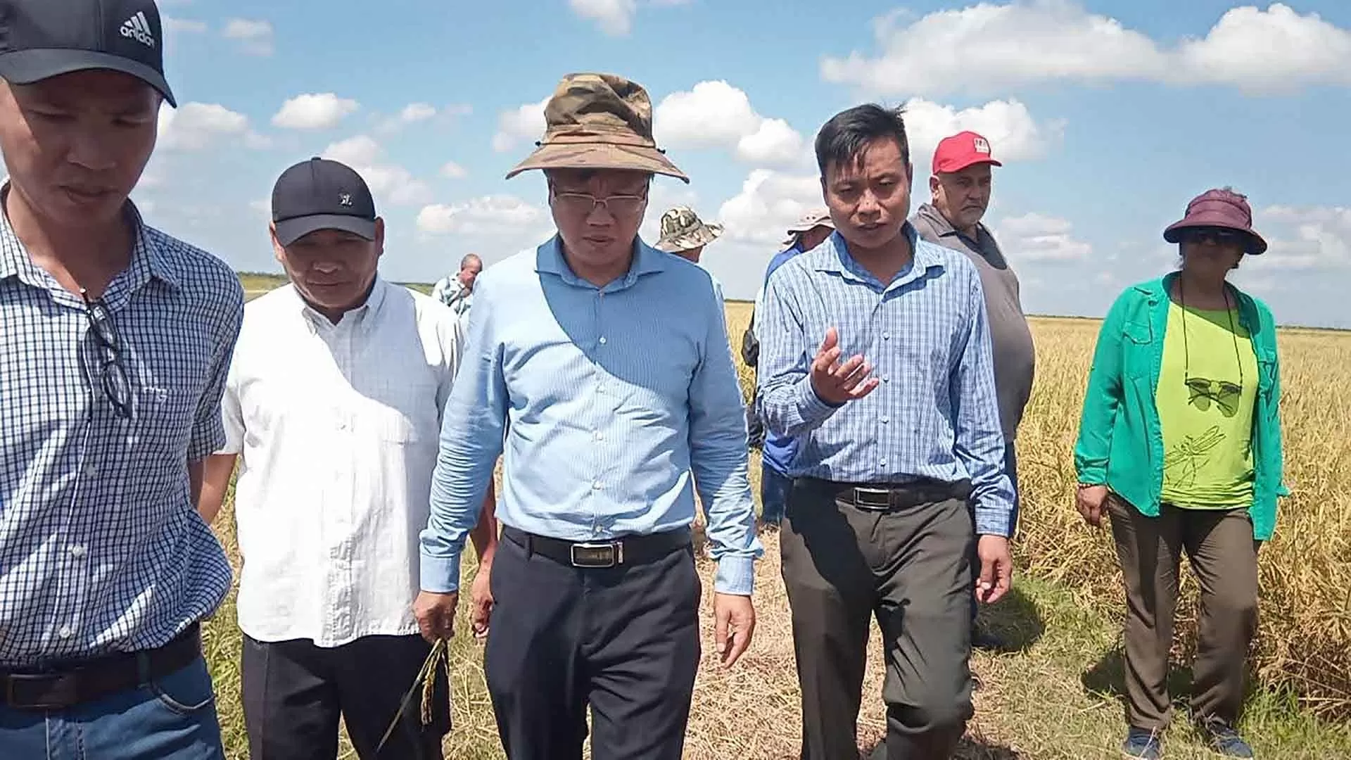 Việt Nam-Cuba phát triển sản xuất lúa gạo: Bốn giống đạt tiêu chuẩn và được đặt tên là ViBa