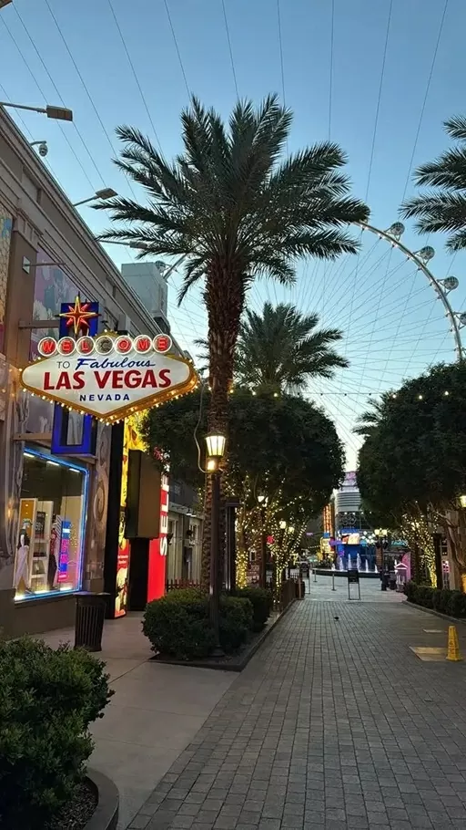 Sao Arsenal hóa trang thành tiếp viên hàng không