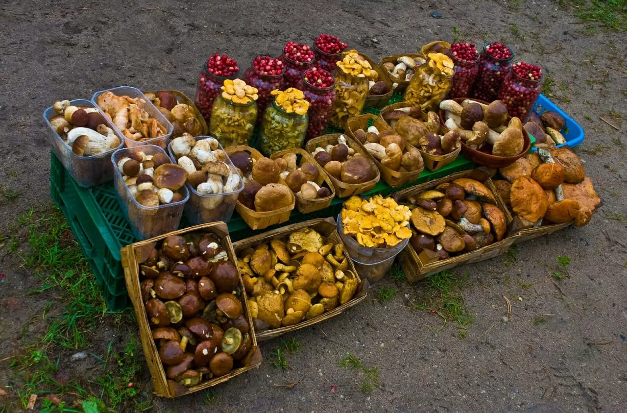 12 trải nghiệm tuyệt vời chỉ có ở Lithuania