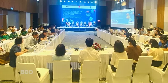 Dự án quản lý rác thải do Na Uy tài trợ tạo chuyển biến rõ nét tại Bình Định