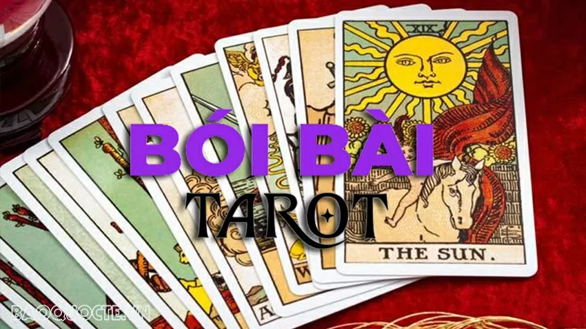 Bài tarot hôm nay 28/6: Người ấy có đang theo dõi bạn trên mạng xã hội không?