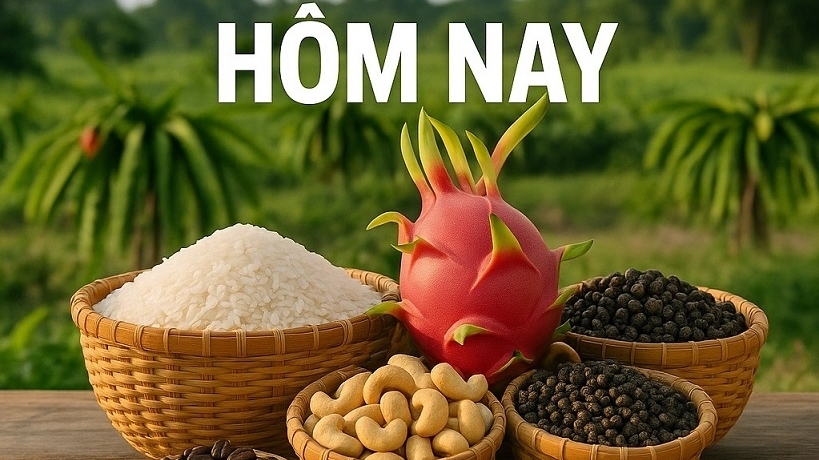 Giá nông sản hôm nay 26/11/2025: Giá cà phê tăng nhanh, hút lực mua mạnh mẽ; Nông sản Mỹ sẽ tiếp cận hơn nữa thị trường Việt Nam