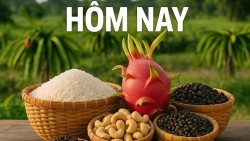 Giá nông sản hôm nay 5/12/2025: Cà phê Việt dịch chuyển tăng trưởng theo chất, Xuất khẩu tiêu lập kỷ lục; Sản lượng robusta Brazil cao lịch sử