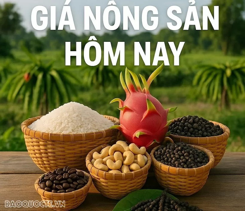 Giá nông sản hôm nay 9/8/2025: Giá nông sản hôm nay 9/8/2025: