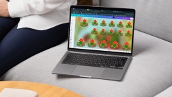 Cách tạo bản sao trên Canva đơn giản và dễ thực hiện